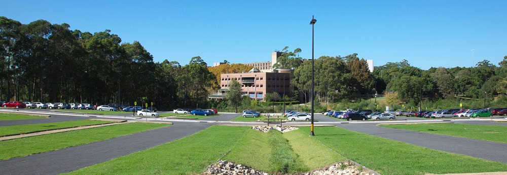 Grass Reinforcement at Macquarie University