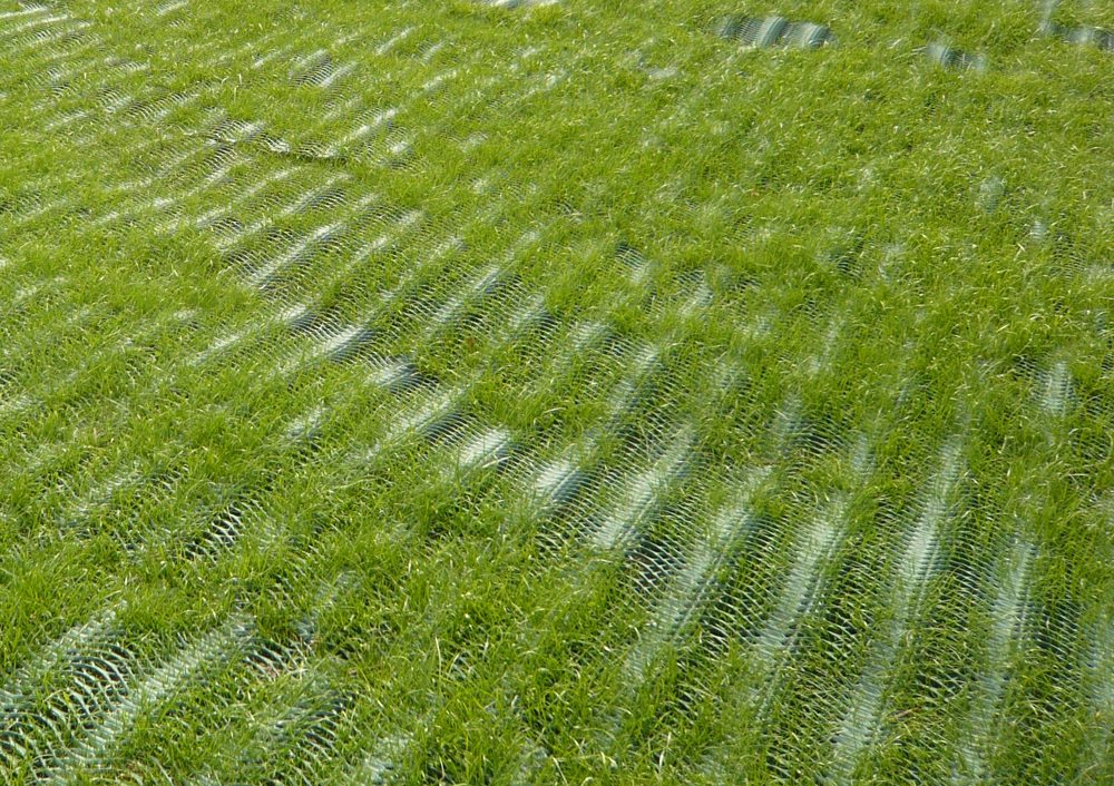 Grass-mesh-grass-growth