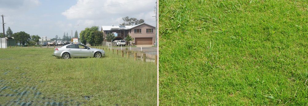 Port Macquarie GR14 Grass Reinforcement
